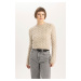 DEFACTO Crop Crew Neck Sweater