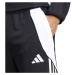 Nohavice adidas Tiro 24 Training M P1952