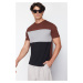 Trendyol Brown Regular Cut Color Blocked 100% Cotton T-Shirt