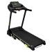 LIFEFIT TM3301