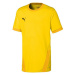 Dres Puma teamGOAL 23 Jr 704160 07