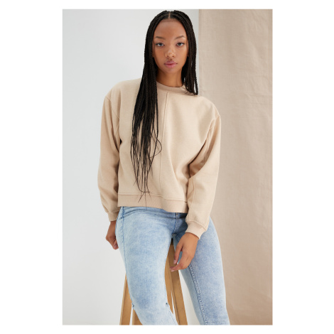 Trendyol Beige More Sustainable Thick, Fleece Inside, Stand-Up Collar Loose Knitted Sweatshirt