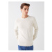 LC Waikiki Crew Neck Long Sleeve Men's Knitwear Sweater