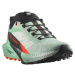 Salomon Sense Ride 5 W L47698300