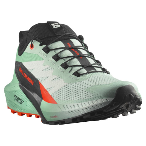 Salomon Sense Ride 5 W L47698300