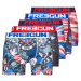 Freegun  BOXERS DRAPEAUX X5  Boxerky Viacfarebná