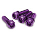 Šrouby uchycení brzdy Reverse M6 x 18 mm, 4 ks Purple