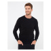 LC Waikiki Crew Neck Long Sleeve Men's Knitwear Sweater