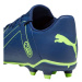 Kopačky Puma Future Play FG/AG M 107377 03