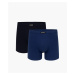 Boxer shorts Atlantic 2MH-173 A'2 M-2XL navy-blue 02