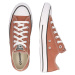 CONVERSE Nízke tenisky 'CHUCK TAYLOR ALL STAR'  koňaková / biela