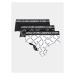 KARL LAGERFELD Súprava 3 kusov slipov Logo Monogram Brief Set(3Pack) 225M2102 Čierna