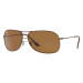 Ray-Ban RB3267 014/83 Polarized - ONE SIZE (64)