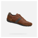 Brown men's sneakers Geox Wells - Men's