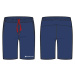 Men's trousers ALPINE PRO LESON czech blue