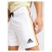 ADIDAS SPORTSWEAR Športové nohavice 'DFB DNA'  žltá / červená / čierna / biela
