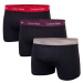 Calvin Klein Underwear Man's 3Pack Underpants 0000U2662GCPZ