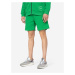 4F Športové nohavice  trávovo zelená