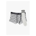Pánský set boxerky a ponožky U0BG14JR003 - F952 - vícebarevná - Guess vícebarevná