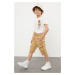 Trendyol Beige Boy's Pocket Elastic Waist Woven Shorts