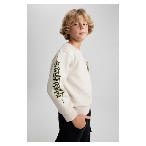 DEFACTO Boy New Regular Fit Crew Neck Sweatshirt