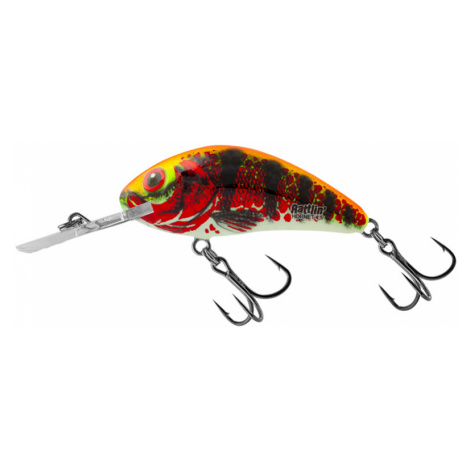 Salmo wobler rattlin hornet floating holo red perch - 4,5 cm 6 g