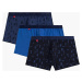 BOXERKY ATLANTIC CHROMATIC - TROJBALENIE 3MH-182 A&#39;3 S-2XL