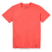 Men's T-Shirt Smartwool Merino 150 Plant-Based Dye Earth Red Wash