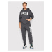 Nike Mikina Sportswear Graphic DD5242 Sivá Standard Fit