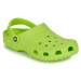 Crocs  CLASSIC  Nazuvky Zelená