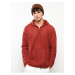 LC Waikiki Men's Long Sleeve Hoodie