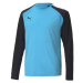 Brankárska mikina Puma teamPacer GK LS Jersey Jr 704939 40