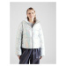 Pegador Prechodná bunda 'SUGAR FUTURE PUFFER JACKET CHROME'  strieborná