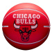 Wilson Nba Dribbler Chicago Bulls UNI
