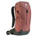 Deuter AC Lite 16 redwood-ivy