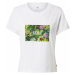 LEVI'S ® Tričko 'Graphic Surf Tee'  nefritová / trávovo zelená / fialová / svetločervená / biela