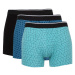 DEFACTO Regular Fit 3-pack Boxer