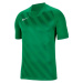 Dri Fit Challange 3 Y Jr BV6738 302 - Nike