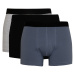 DEFACTO Regular Fit 3-pack Boxer