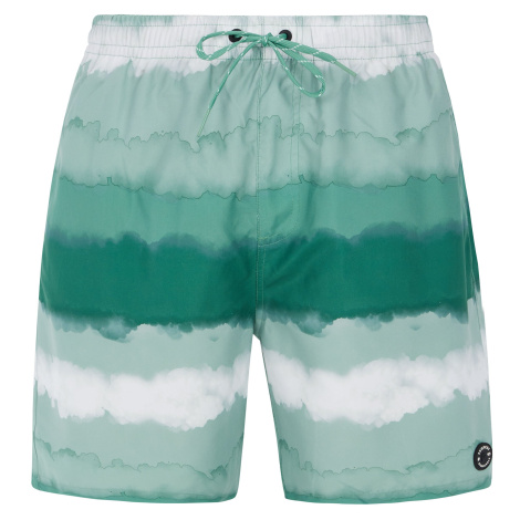 Men's beach shorts Protest PRTHAMSEY