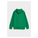 MIKINA GANT REG ARCHIVE SHIELD HOODIE LAVISH GREEN