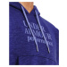 Under Armour Essential Script Hoodie Blue