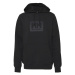 Helly Hansen Box Hoodie M 53289-990