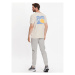 Quiksilver Tričko Arts In Palm EQYZT07249 Béžová Regular Fit