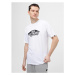 Pánske tričko s krátkym rukávom VANS OFF THE WALL BOARD TEE-VN000FSB B White