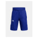 Šortky Under Armour UA Baseline Short