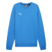 Pánska mikina Puma Team Goal Casuals Crew Neck 658592 02