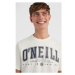 O'Neill STATE MUIR T-SHIRT Pánske tričko, biela, veľkosť