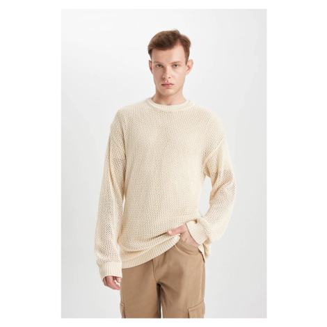 DEFACTO Regular Fit Crew Neck Crochet Hole Knitwear Sweatshirt