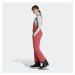 ADIDAS TERREX Outdoorové nohavice 'Resort Two-Layer Insulated Bib'  pastelovo červená / čierna